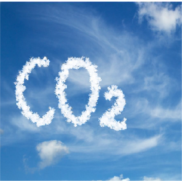 Impuesto sobre las emisiones del CO2